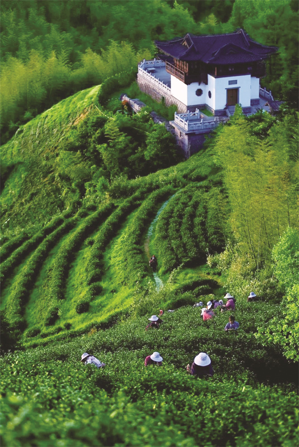 1680526464208717.jpg 微信图片_20230402134245.jpg