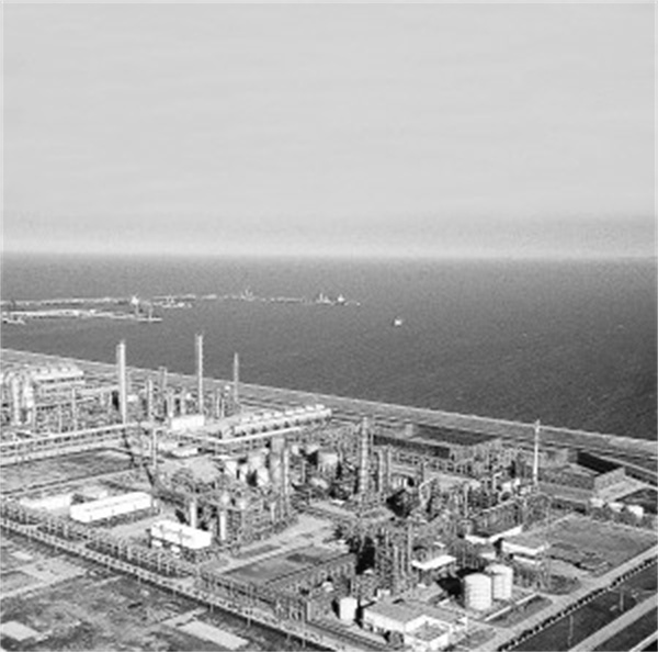 1680870000515042.jpg 3-3 3版补图(4).jpg