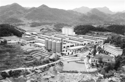 1680940106551622.jpg 7-1 图配文1.jpg