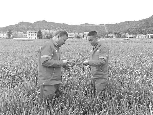 7-1 1 1 图1：苟再斌.jpg