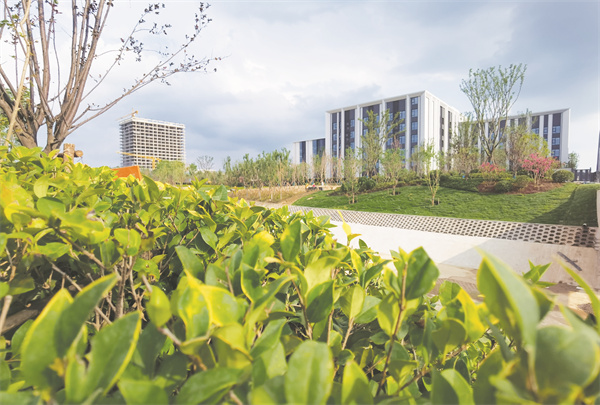 1689861446200415.jpg 1-7.jpg