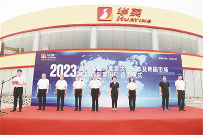 4-1 1 华英配图.jpg