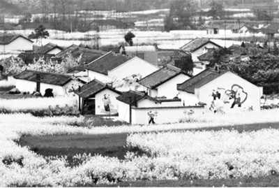 2-2 图配文2乡村振兴.jpg