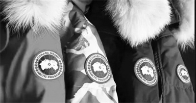 3-2 图配文2加拿大鹅.jpg