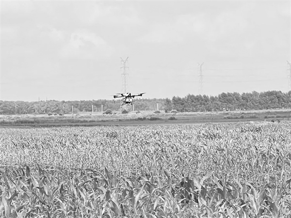 3-1 图配文1长春国家农高区.jpg