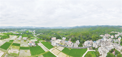 4-3 4（图片新闻）江西遂川.jpg