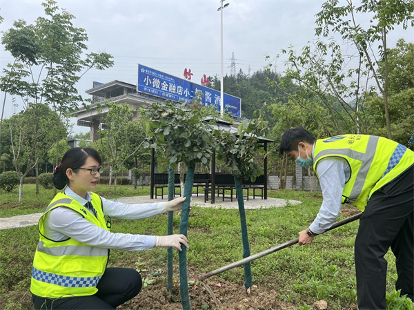 1692699108805996.jpg 6 1为站所植被松土浇水.JPG