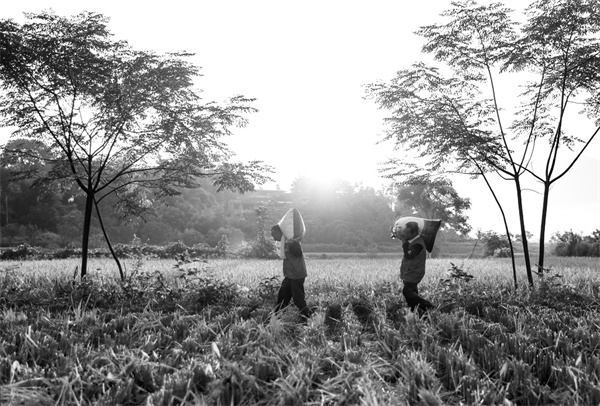 6-3 8 四川广安：党员志愿者奔.jpg