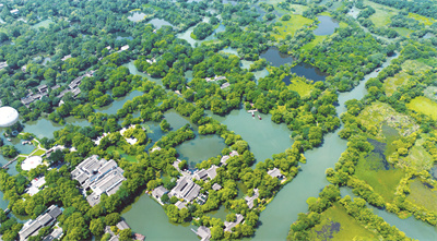 1693231106708502.jpg 西溪湿地(马祯俊摄)87.jpg