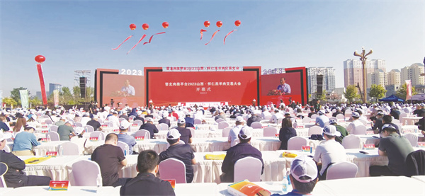 1693484311485637.jpg 1-1 1 1.jpg