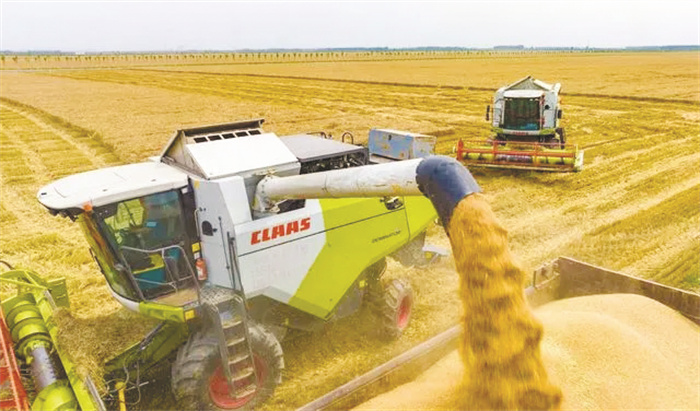 1693907182510351.jpg 1-1 1 6月7日,在河南驻马店西.jpg