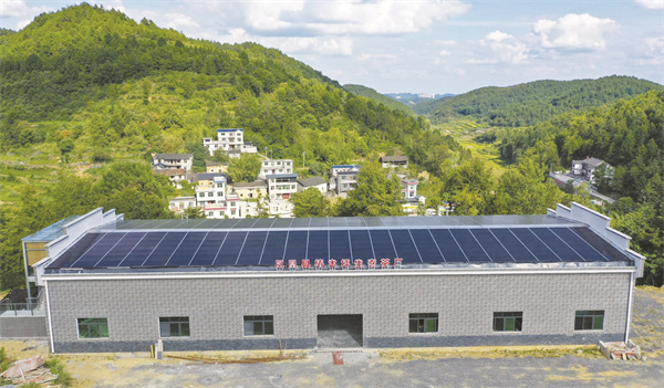 1693997420721070.jpg 6-4 1 4 凤凰县椿木坪茶叶加工厂屋顶建设的光伏项目.jpg