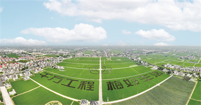 1694332399182528.jpg 梅林村-毛羽丰摄10.jpg