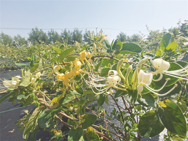 1694520582681961.jpg 8-2 5.jpg