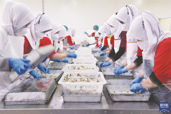 1694605723150626.jpg 8-1 1 一包虾滑背后的“双园”故事.jpg