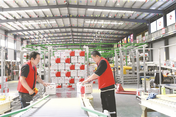 1694605928433353.jpg 8-2 3 小苹果创出产业大天地.jpg