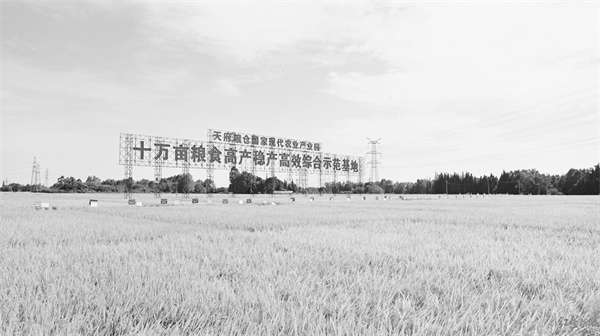 1694852886474454.jpg 3-2 2天府粮仓国家现代农业产业园.jpg