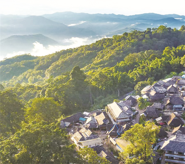 8-2 4 一山一叶铸传奇.jpg