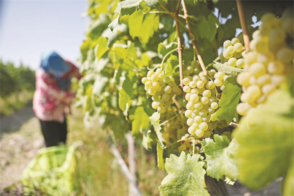 1695646876873926.jpg 4-5 5.jpg