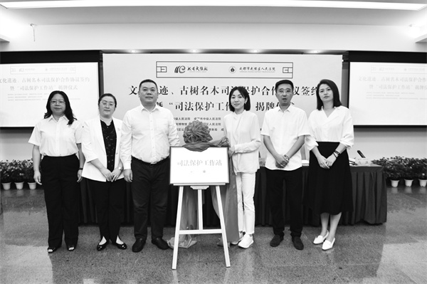 1695725207484632.jpg 2-4.jpg