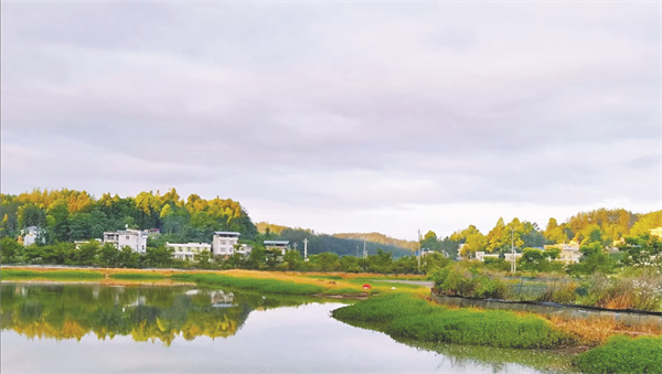 4-8 8 友好村村容村貌.jpg