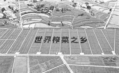 2-1 图1乡村特色产业.jpg