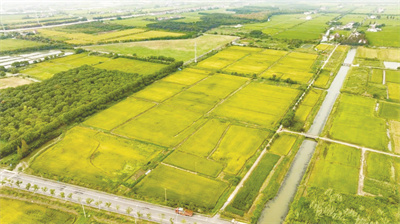 4-3 图3从“米袋子”到.jpg