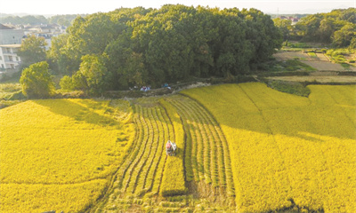 1-2 2 中国经济.jpg