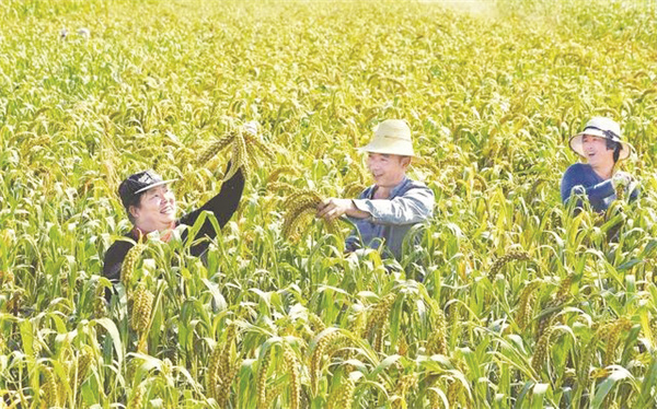 1-1 图1打好“特优牌”.jpg