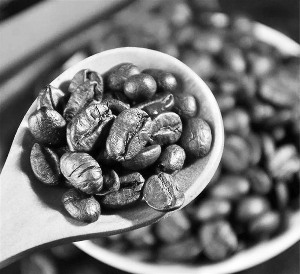 2-3 图4云南咖啡.jpg