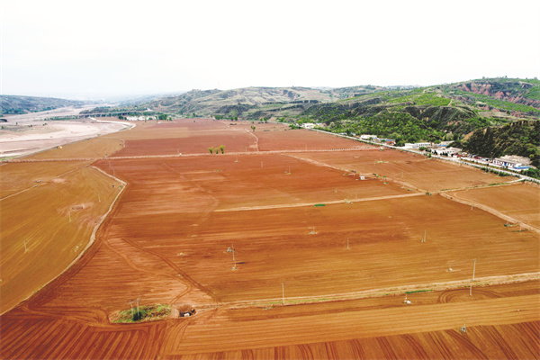 4-4 4 黄甫镇太家沟村高.jpg