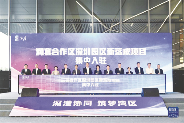 4-8 3 粤港澳大湾区.jpg