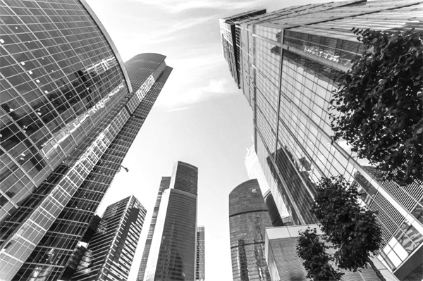 1700354822657511.jpg 3-1 1.jpg