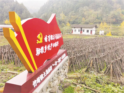 1700989754814854.jpg 4-6 1(扎根乡村配图)土龙庙村.jpg