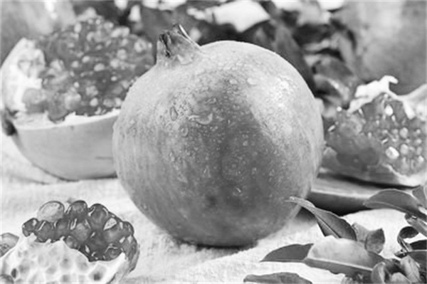 3-1 图1峄城石榴.jpg