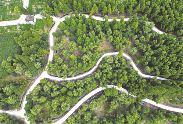 1-1 1 1,上海青浦东厍村的水源.jpg