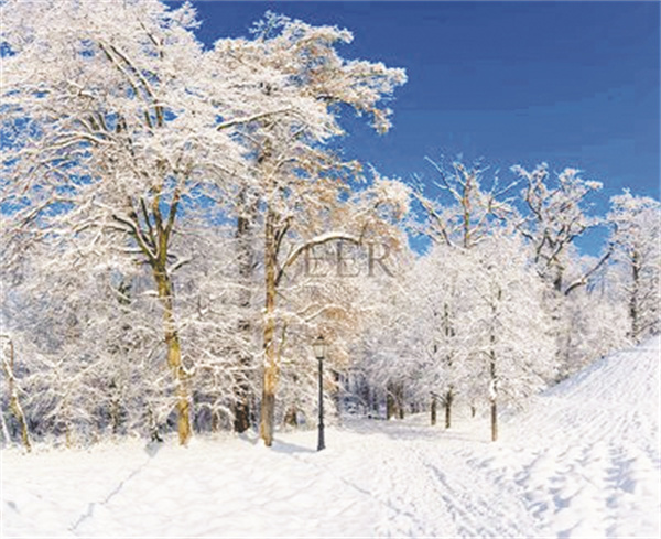 8-2 2童年的雪.jpg