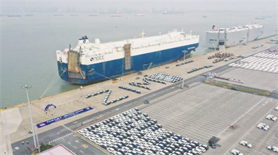 1704520213262229.jpg 1-1 1 1 4月21日,广东省广州.jpg