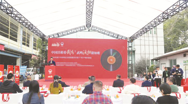 1704885666742252.jpg 8-1 2 广西“武鸣沃柑.jpg