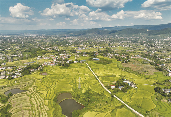 1704887181566435.jpg 4-1 1 1.jpg