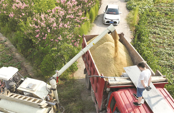 1704887246216560.jpg 4-2 1 2.jpg