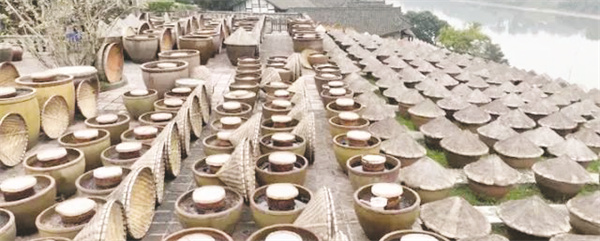 1705148267289106.jpg 4-4 图4海天酱油发酵有了.jpg