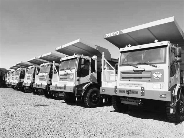 1705151231889198.jpg 6-1 2 山东蓬翔:海外市场.jpg