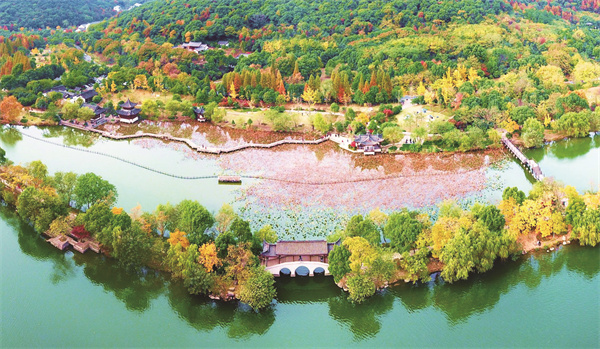 1705324140375173.jpg 秋 范方斌摄.jpg