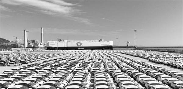 3-1 1，1月14日，“BYD EX.jpg