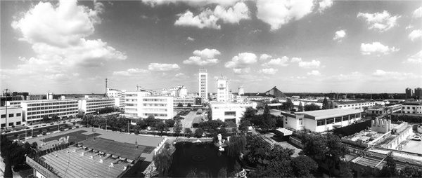 1705496368530399.jpg 2-1 1,.jpg