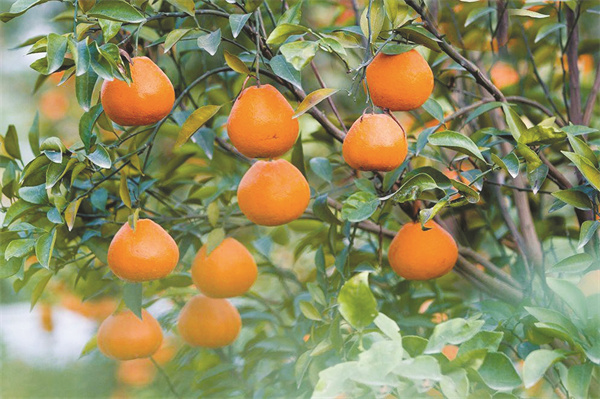 1705668809548070.jpg 4-5 图5.jpg