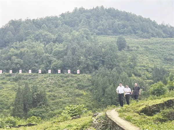 1705934470507059.jpg 4-1 1 彭水自治县生态环境.jpg