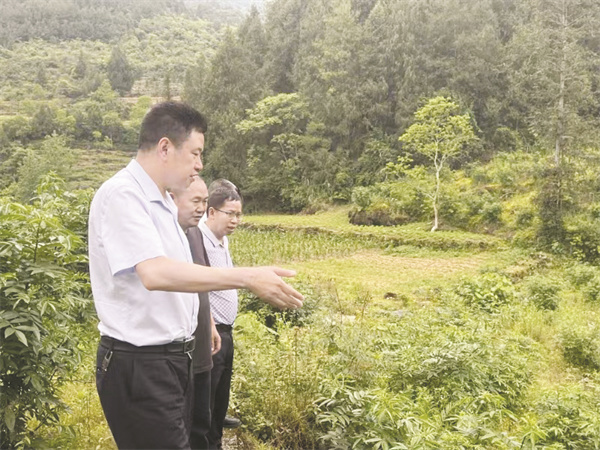 1705934517845715.jpg 4-2 2 彭水自治县生态环.jpg