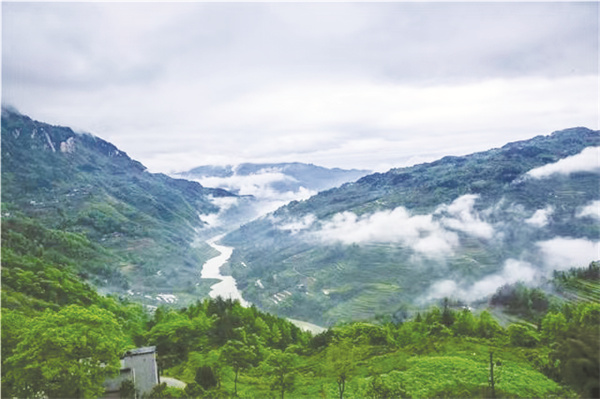 1705934617178158.jpg 4-7 7.jpg